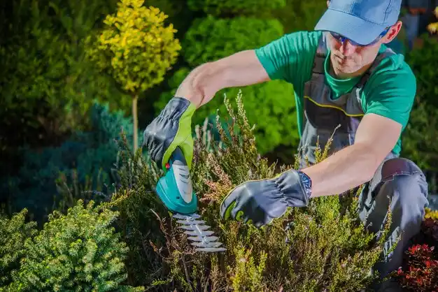 landscaping services Harvey